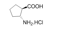 (1R,2R)-2-aminocyclopentanecarboxylic Acid Hydrochloride Salt